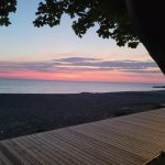 Beach Boardwalk Tree Sunset